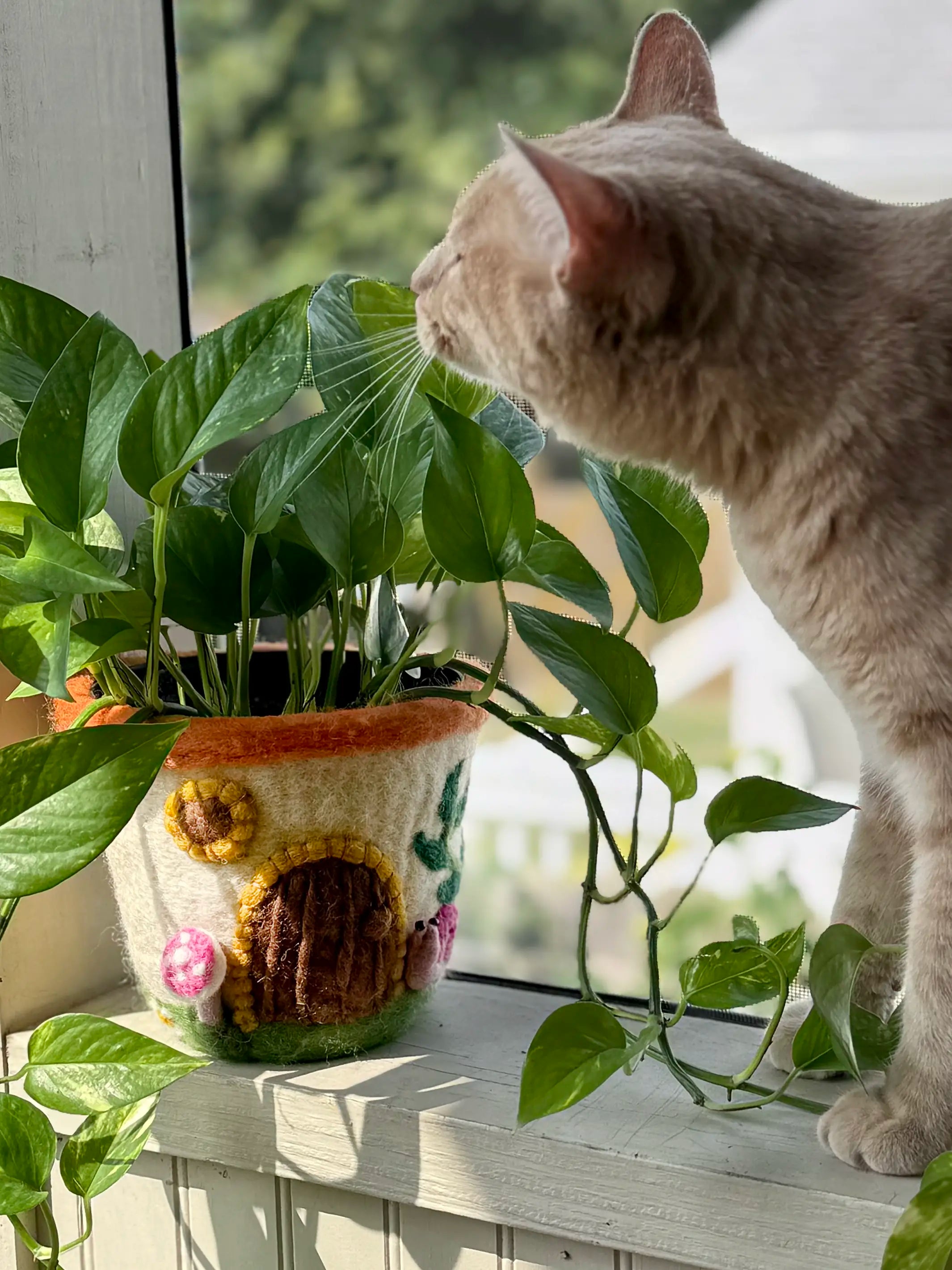 Hand Felted Wool Planter - Mushroom House