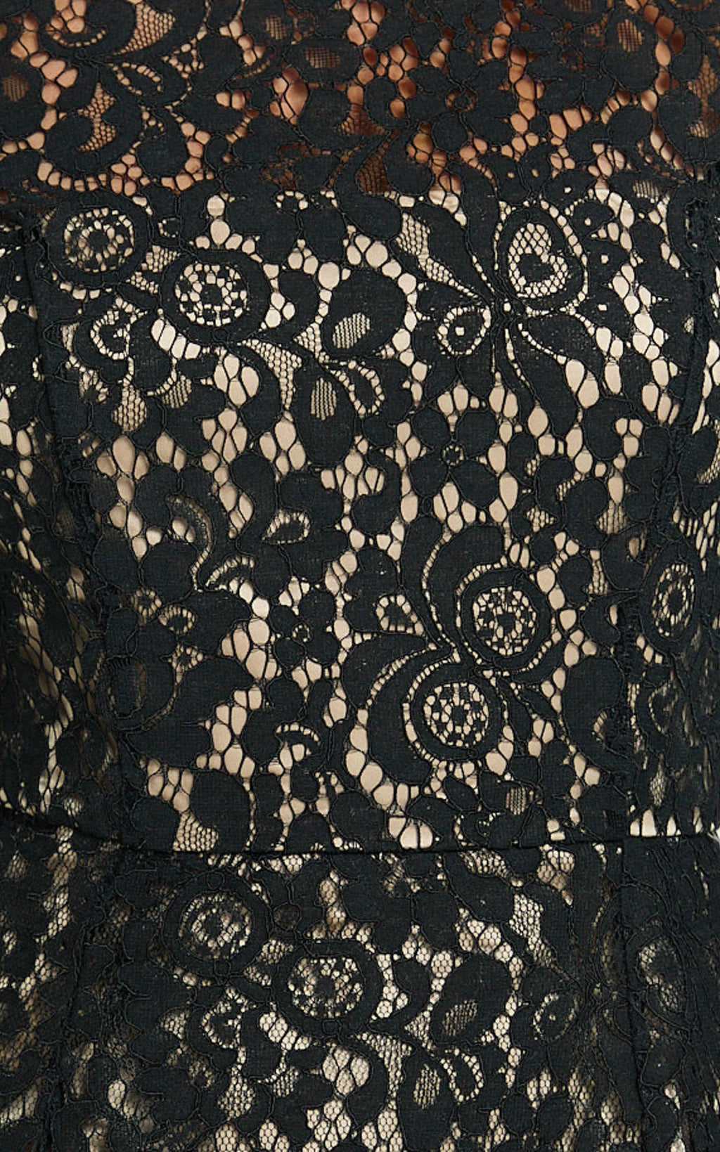 Ness Mini Dress - Long Sleeve Lace Fit And Flare Dress in Black