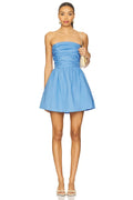Robin Mini Dress