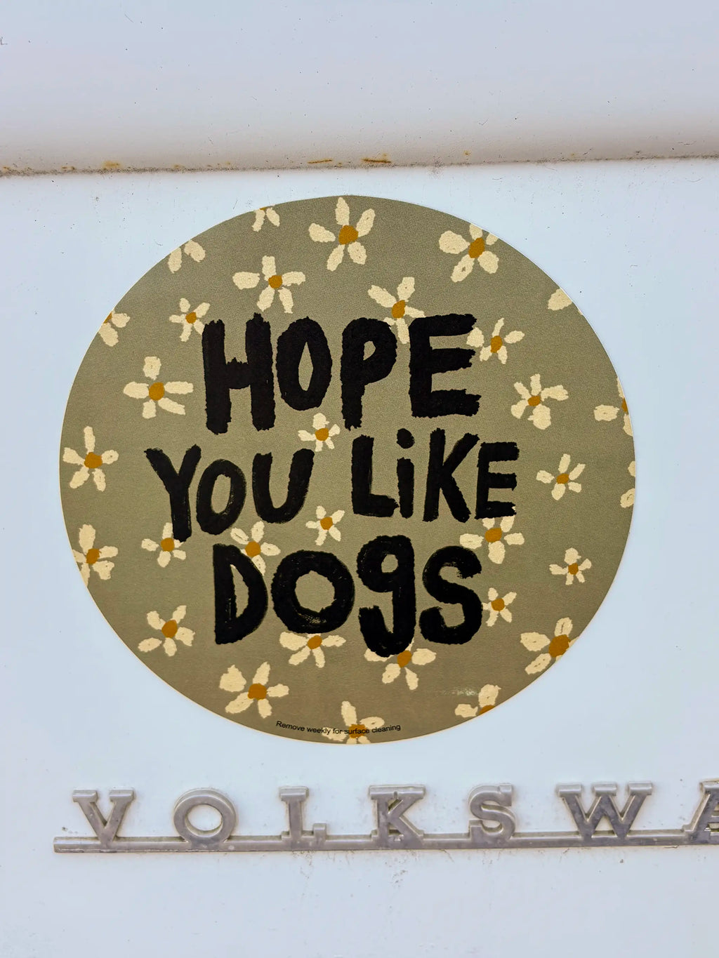 Car Magnet - Hope You Like Dogs
