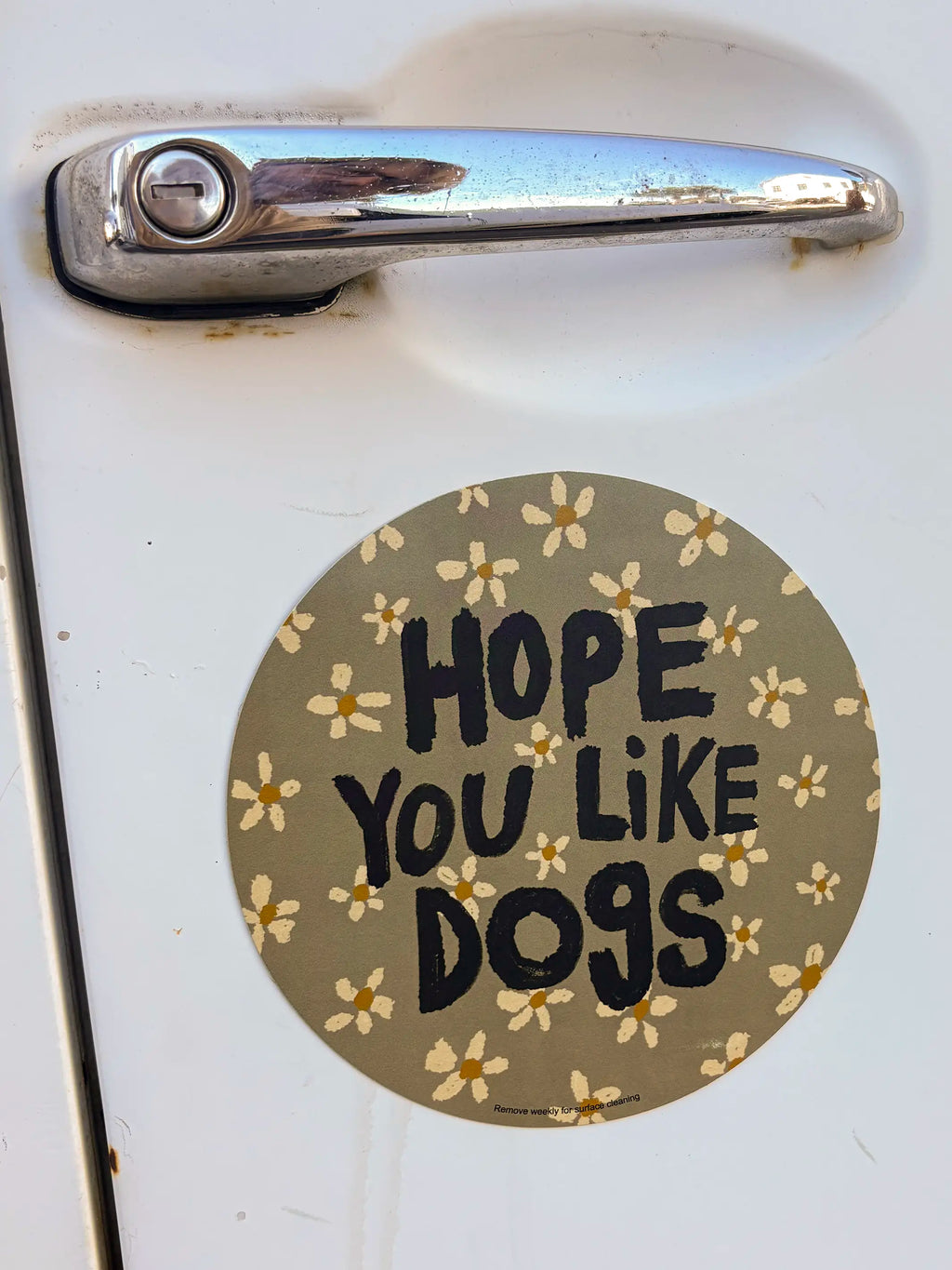 Car Magnet - Hope You Like Dogs