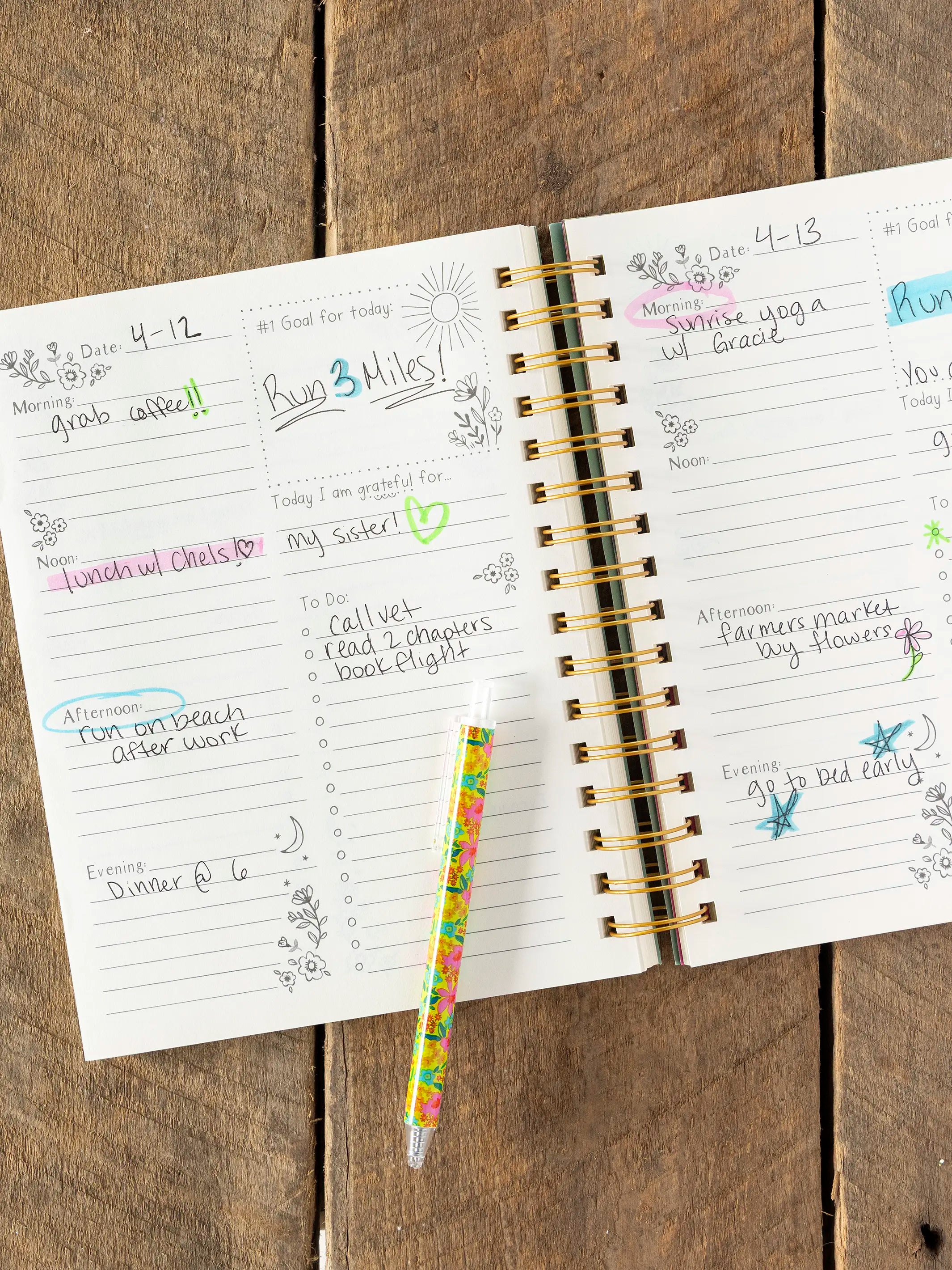 Daily To-Do List Planner - Chickens