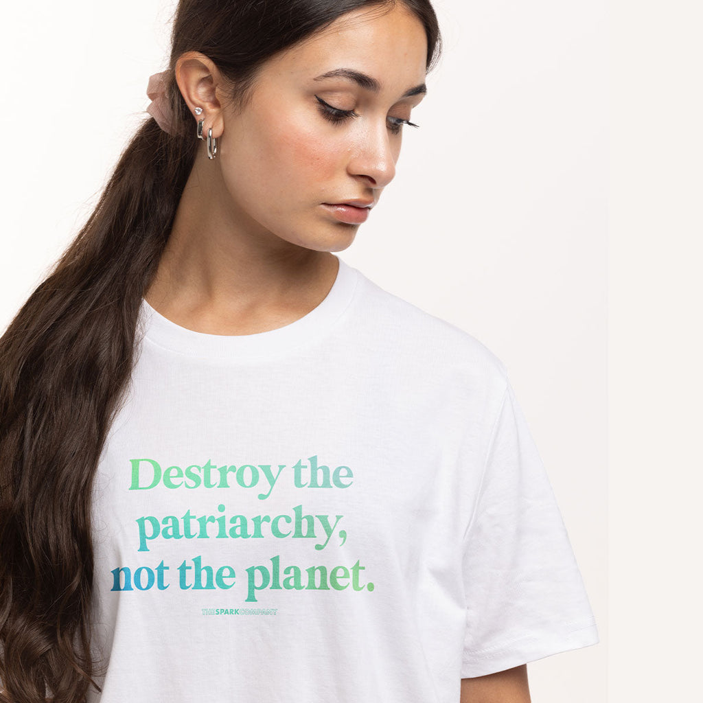 Destroy The Patriarchy Not The Planet T-Shirt