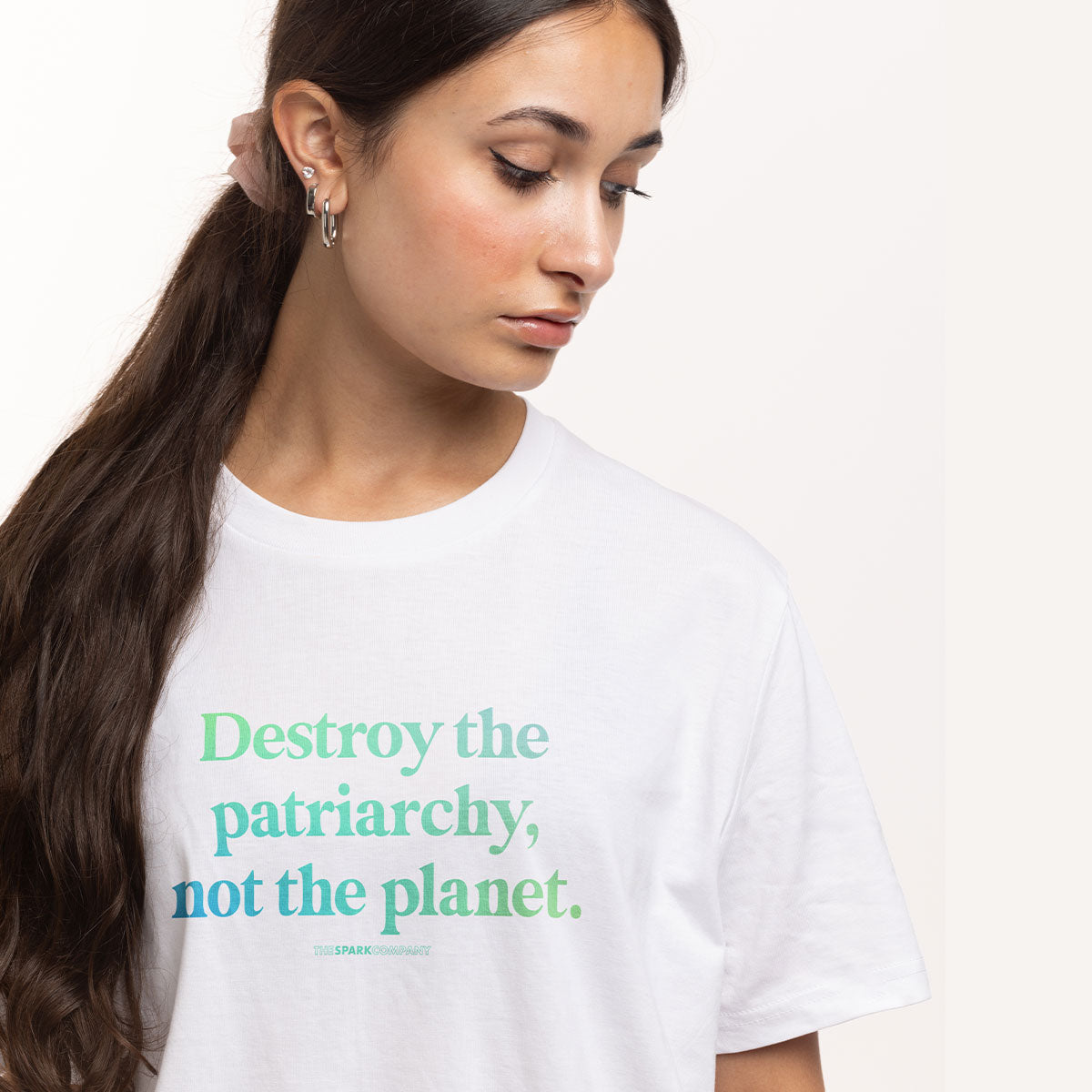 Destroy The Patriarchy Not The Planet T-Shirt