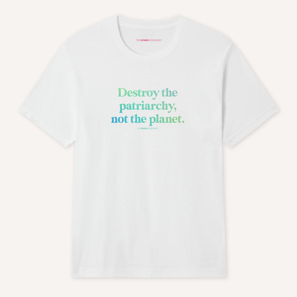 Destroy The Patriarchy Not The Planet T-Shirt