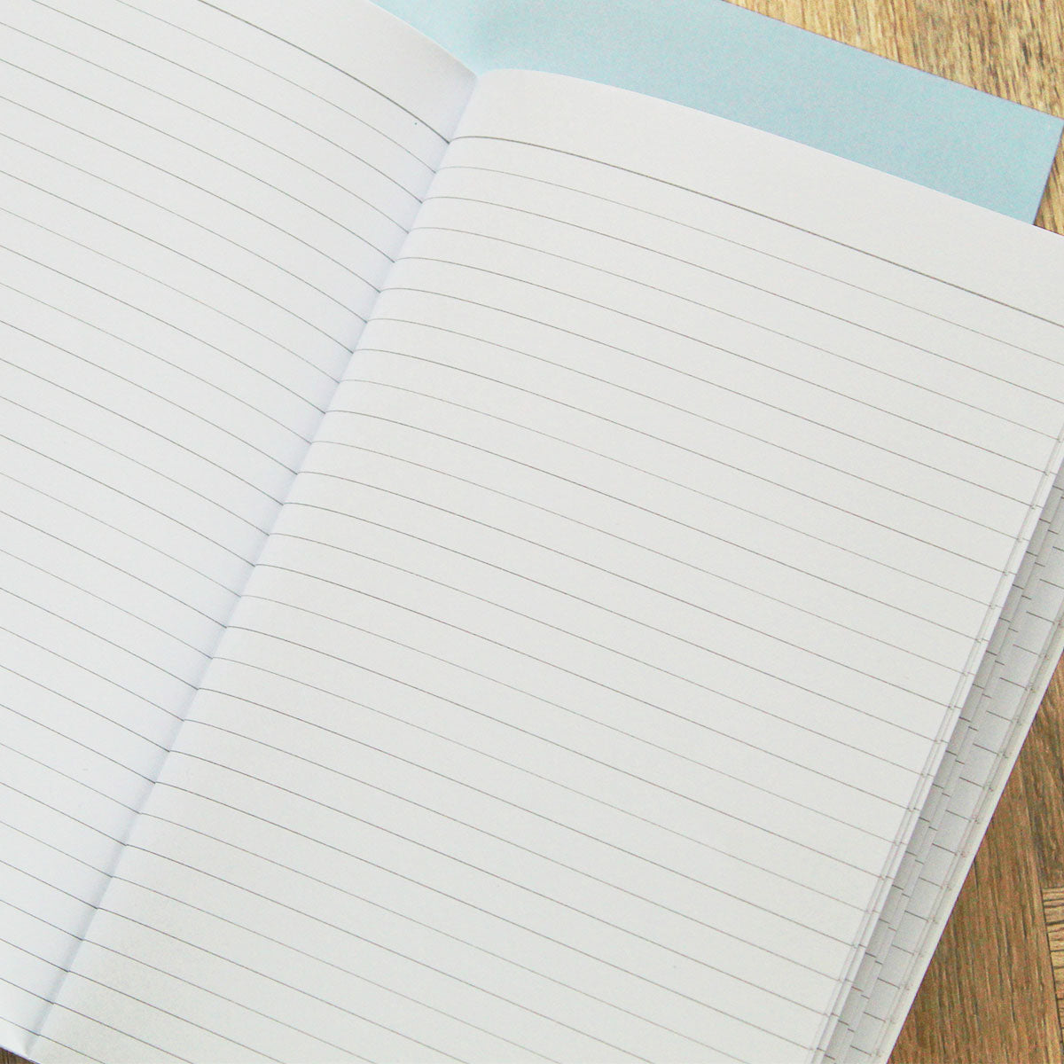 Feminist Motivation Notebooks (3 Pack)