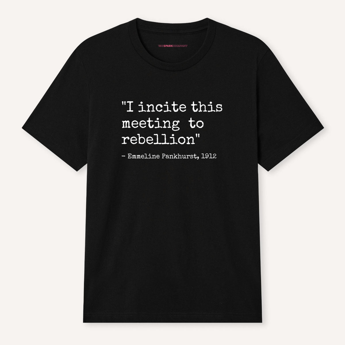 I Incite This Meeting To Rebellion T-Shirt