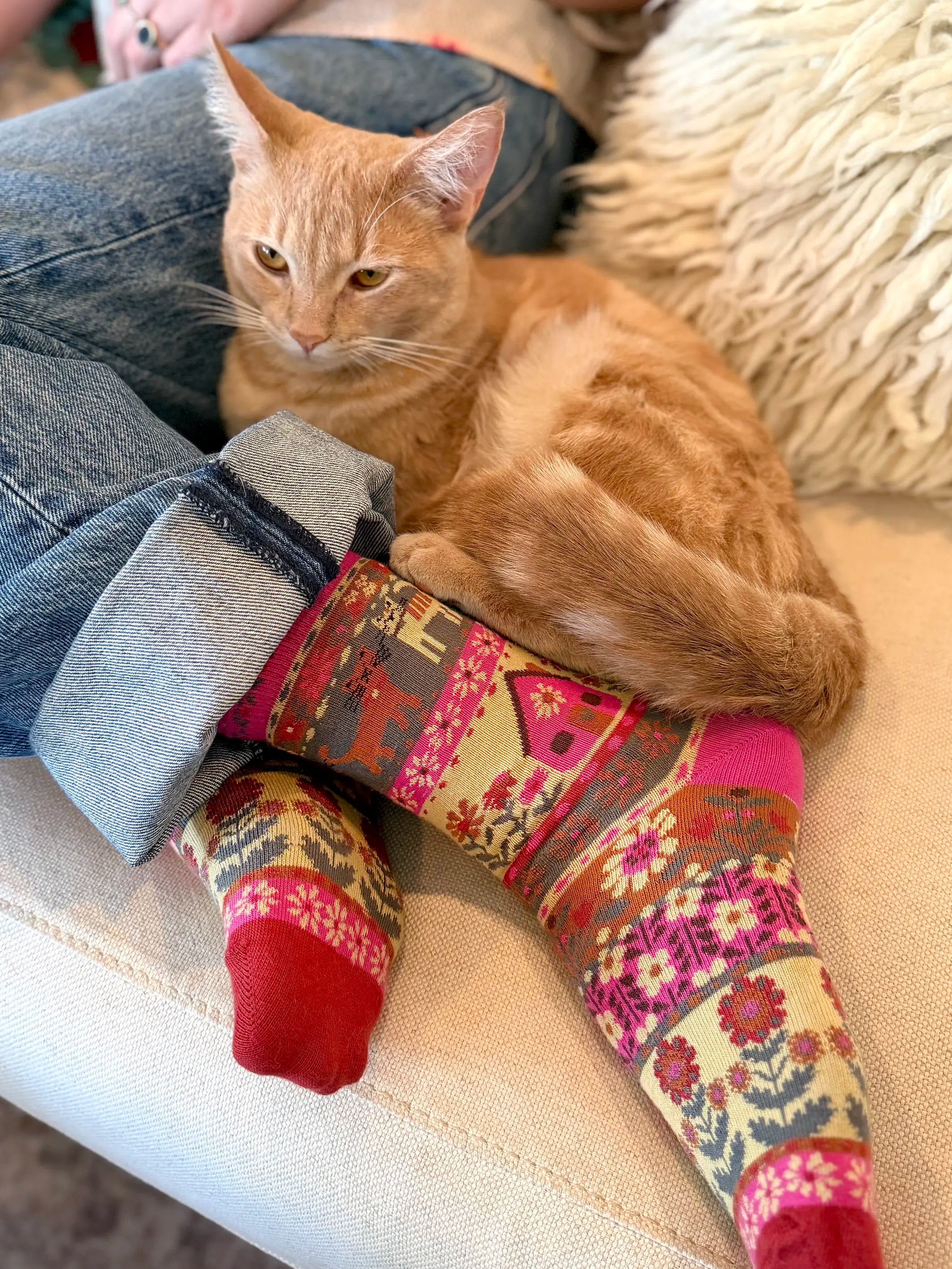 Boxed Boho Sock Set, Set of 3 - Blue Cat