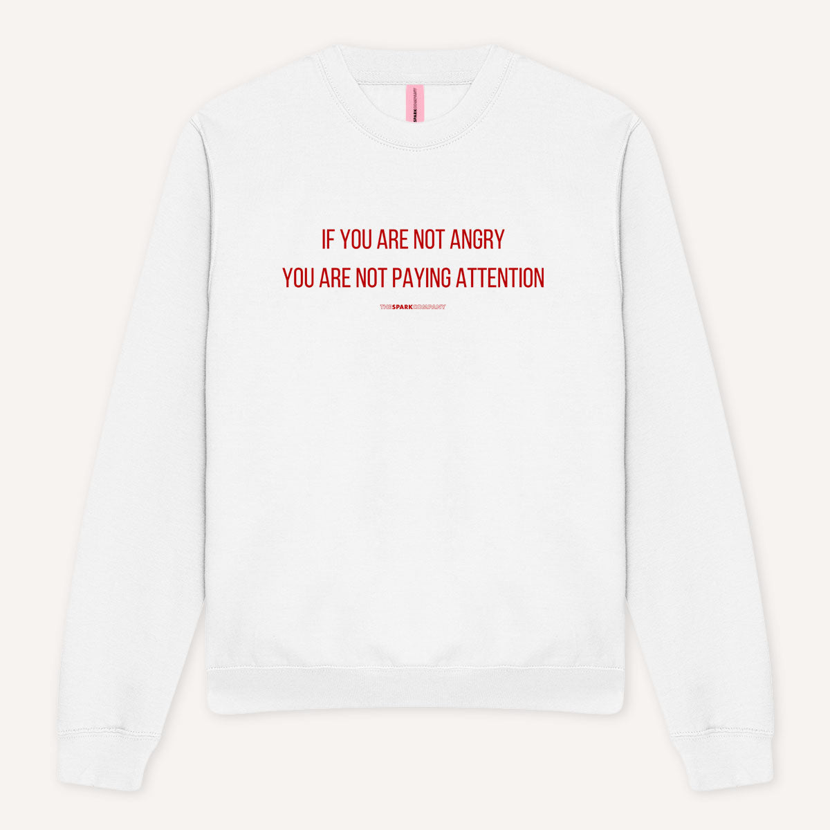 If You Are Not Angry You Are Not Paying Attention Sweatshirt