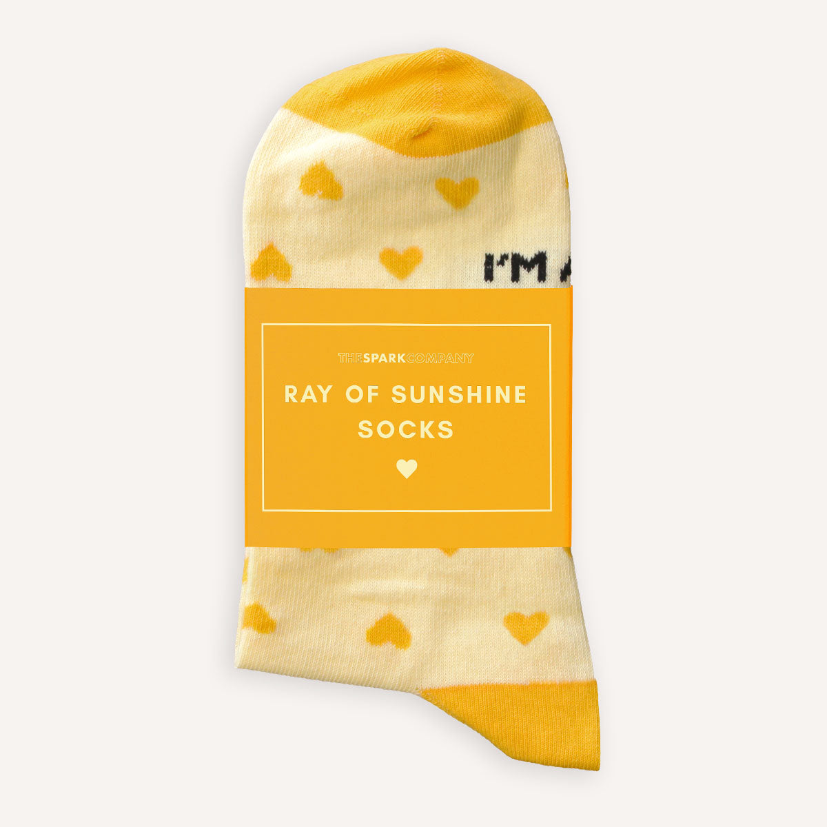 Hidden Messages Socks Set