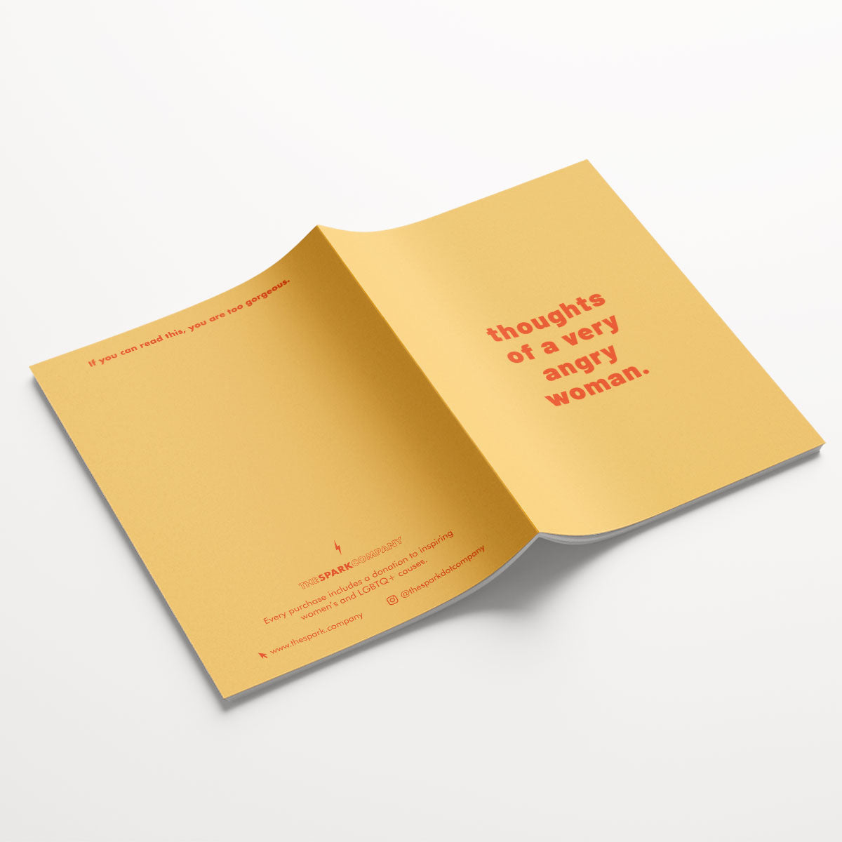 Insane Notebooks (3 Pack)
