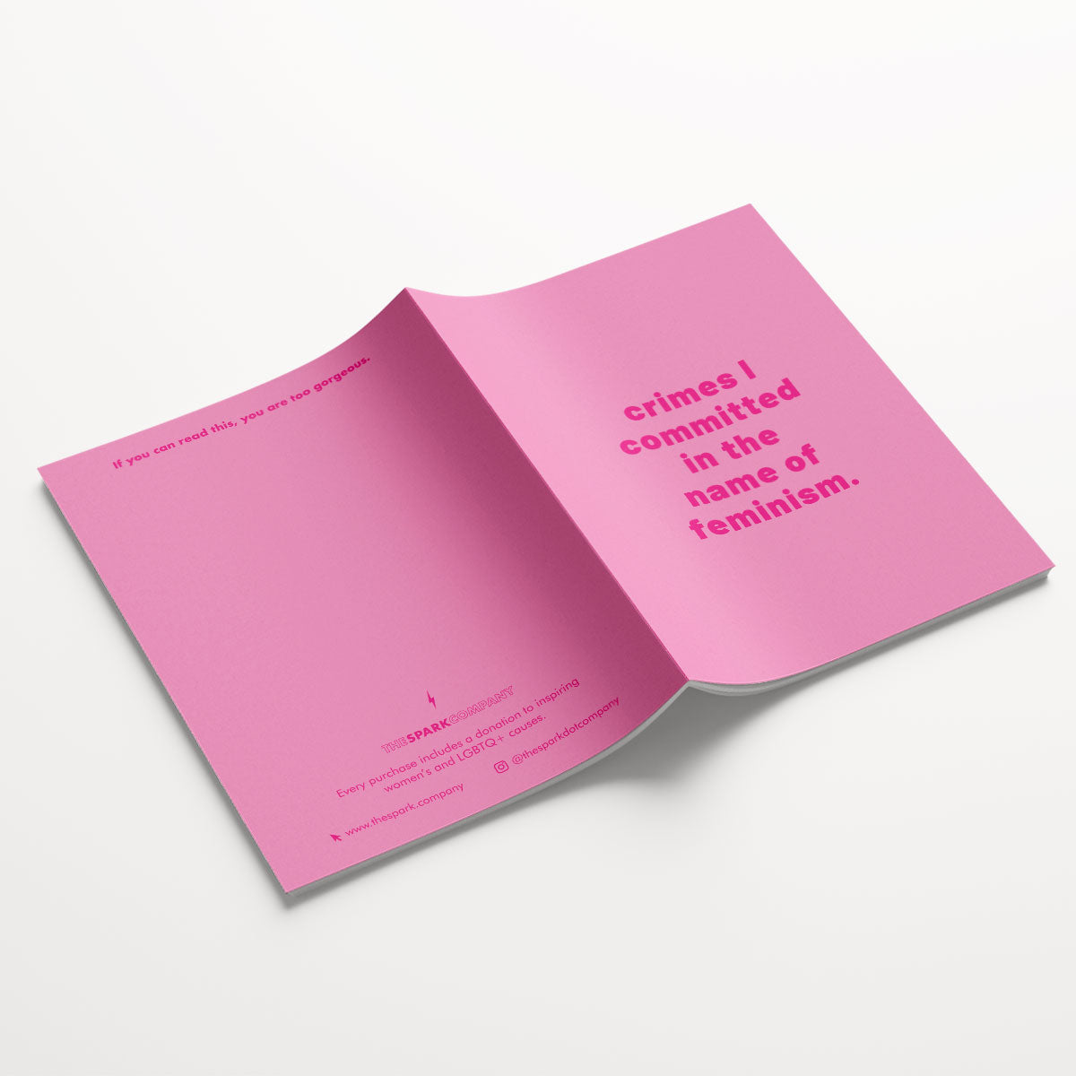 Insane Notebooks (3 Pack)