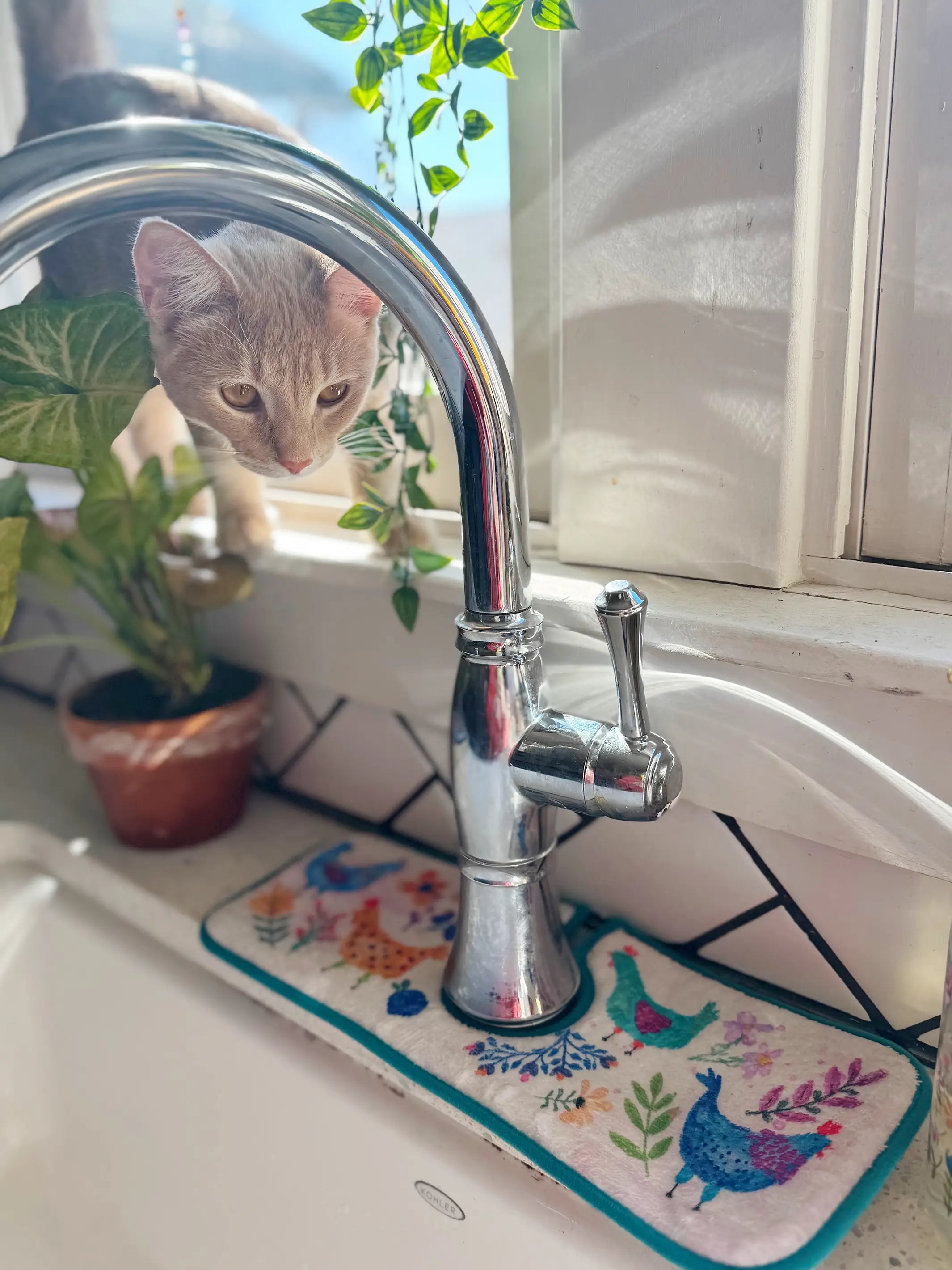 Reversible Faucet Sink Mat - Chickens