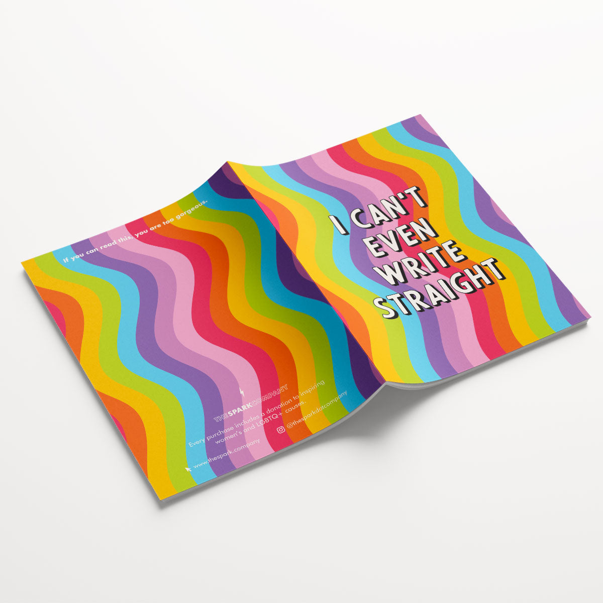 LGBTQ Notebooks (3 Pack)