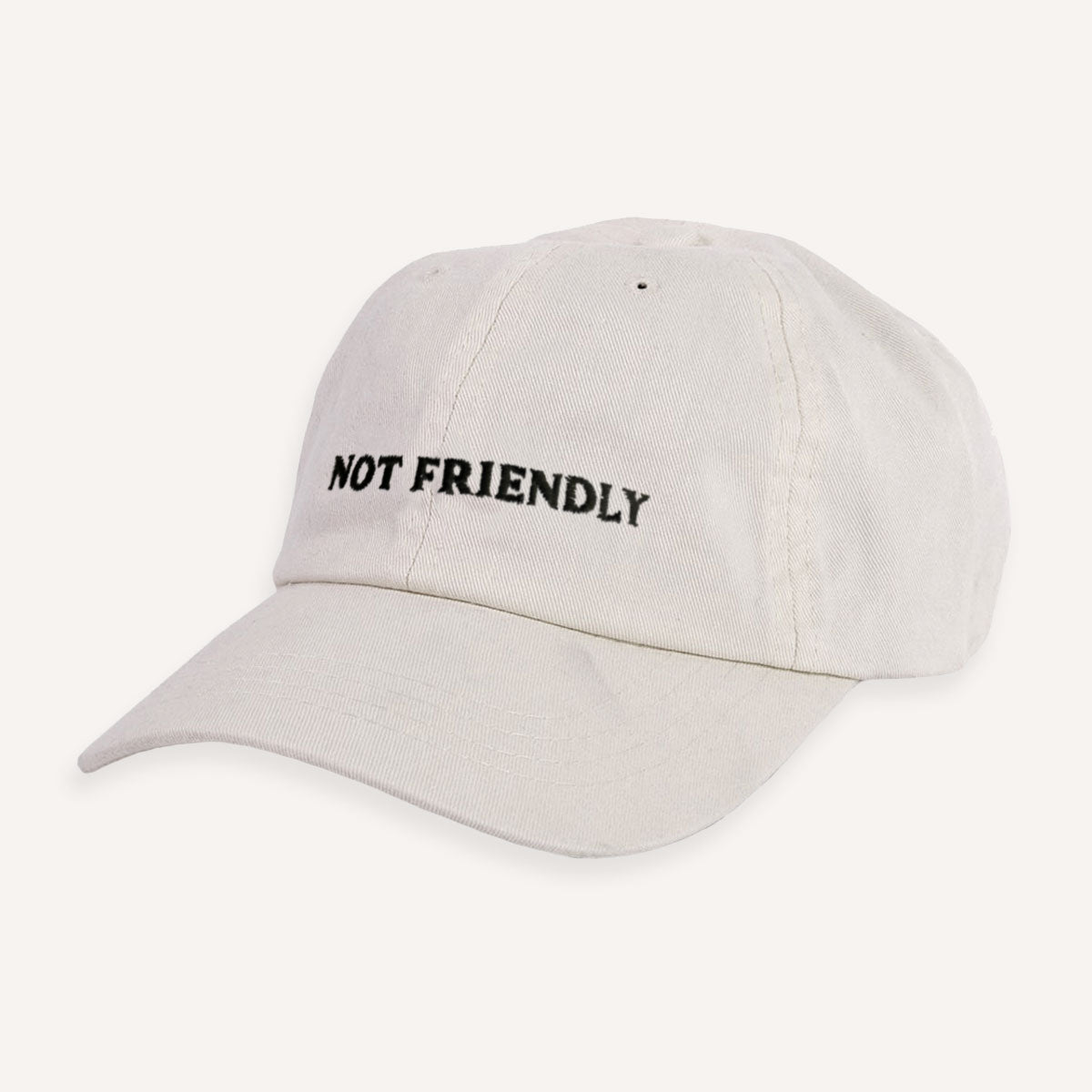 Not Friendly Slogan Cap