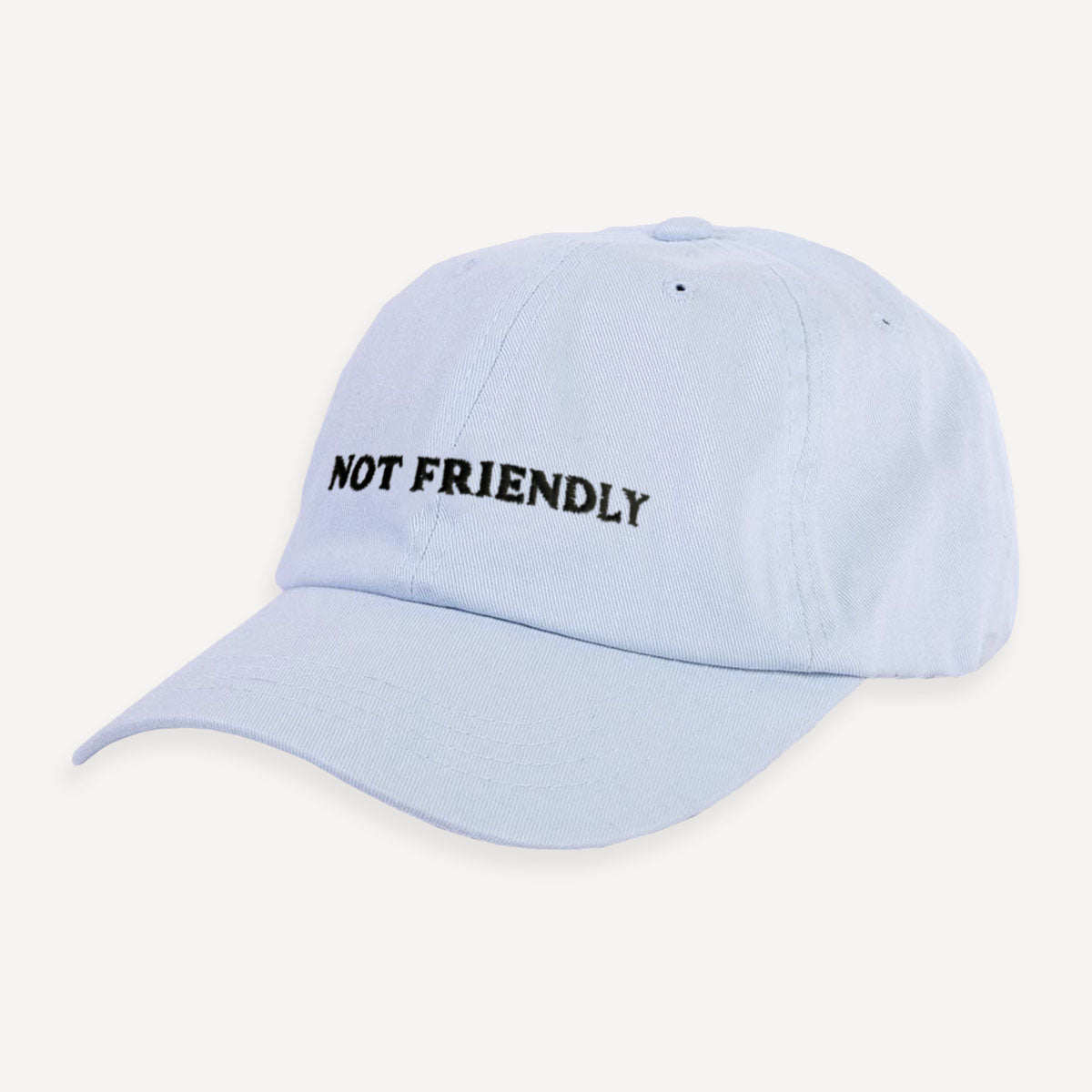 Not Friendly Slogan Cap