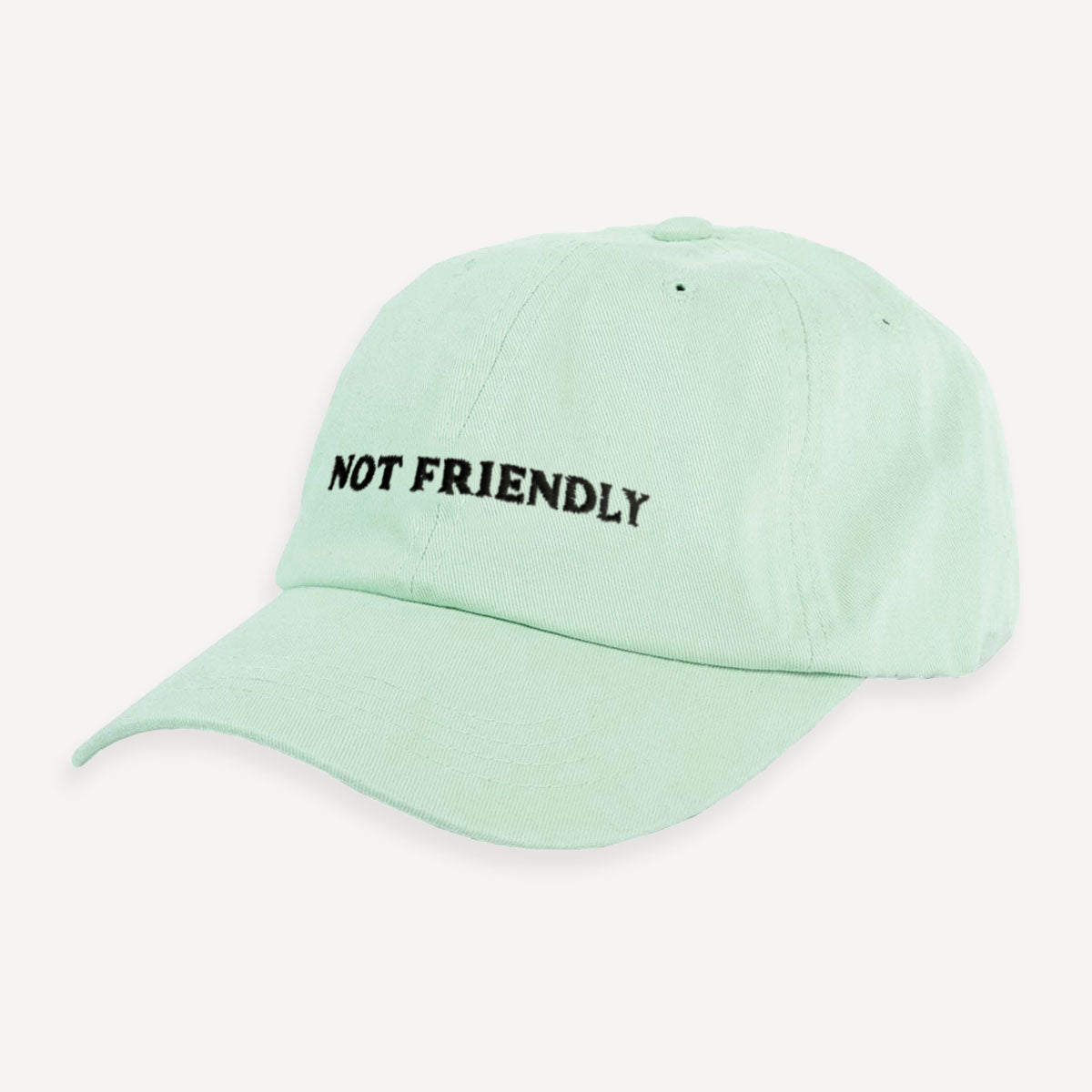 Not Friendly Slogan Cap