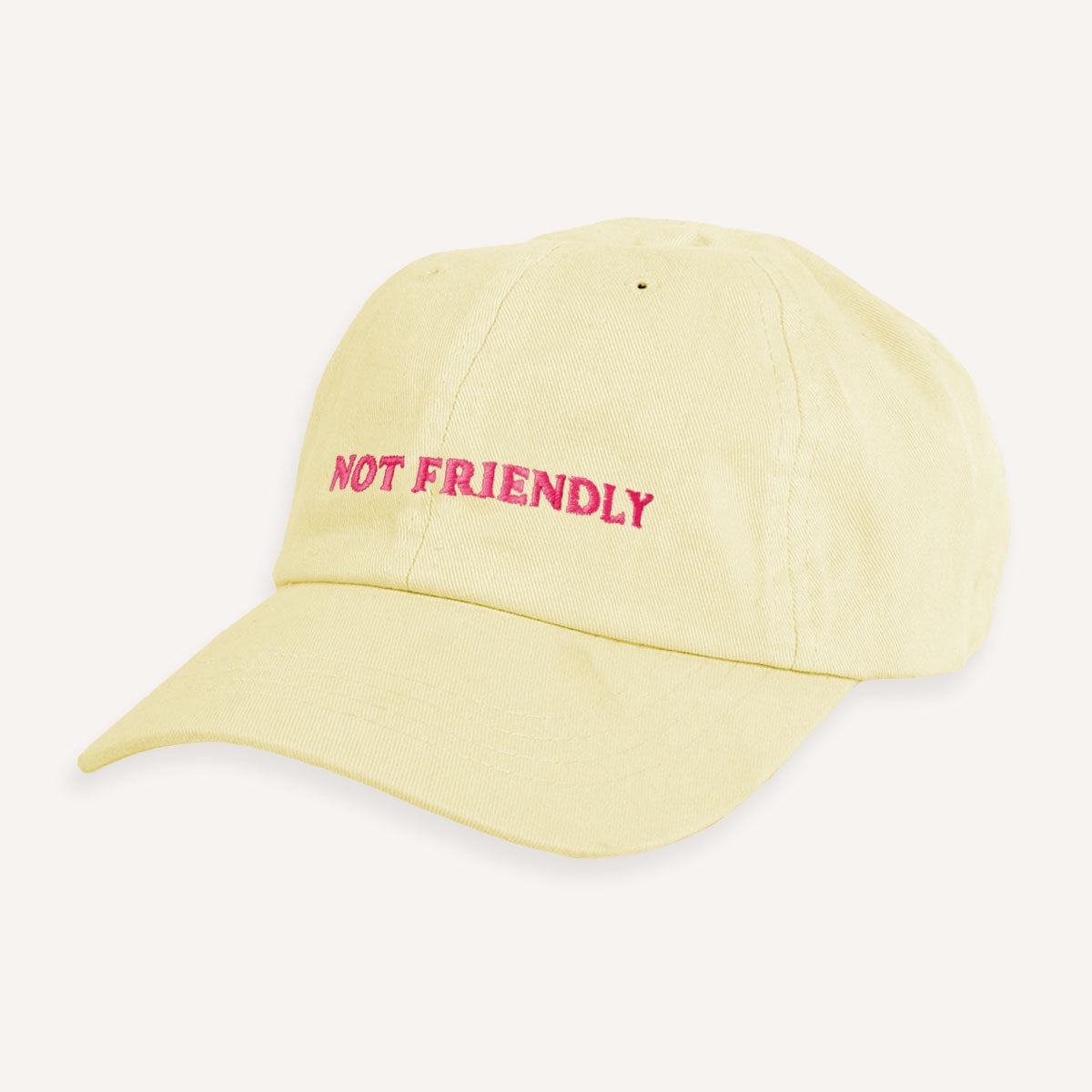 Not Friendly Slogan Cap