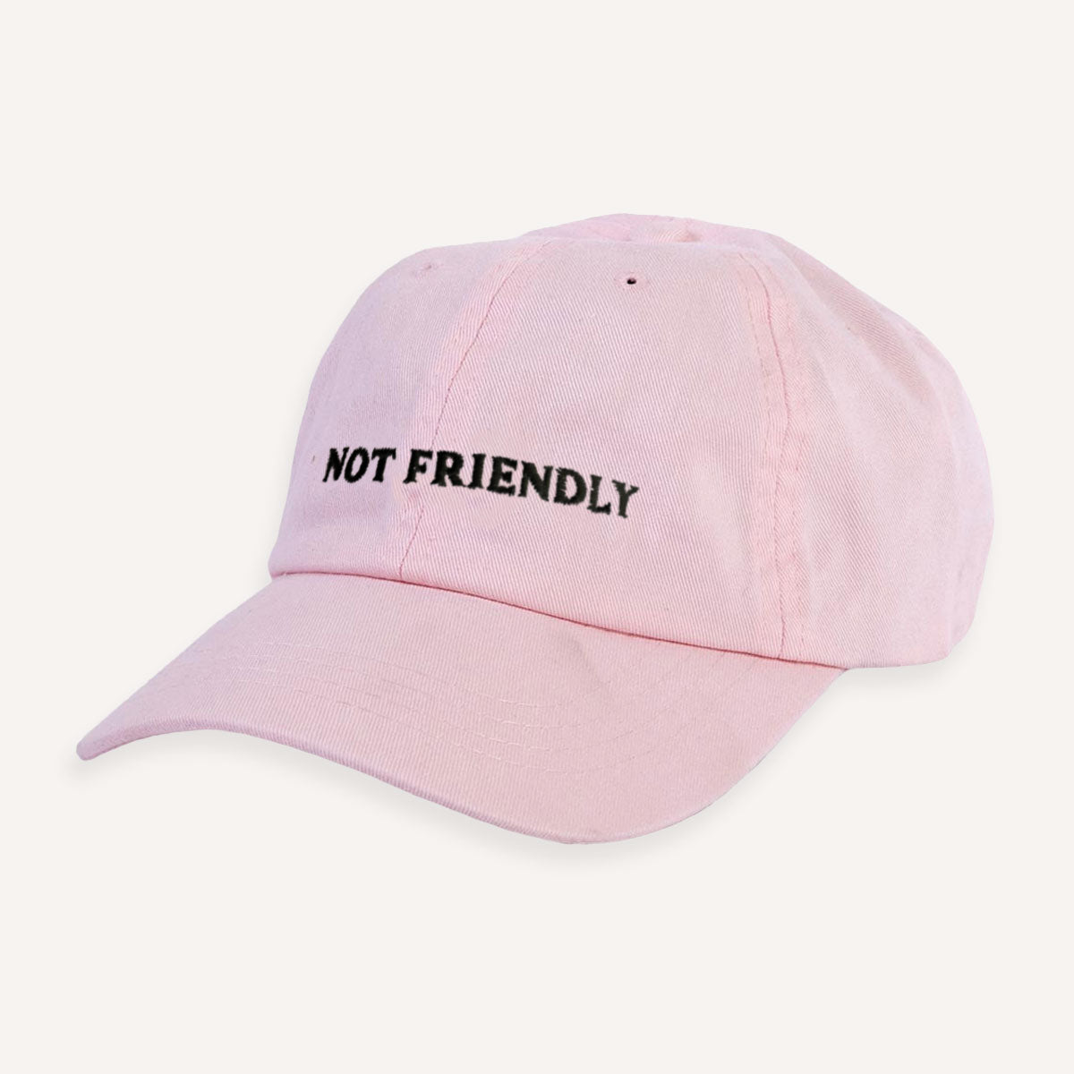 Not Friendly Slogan Cap
