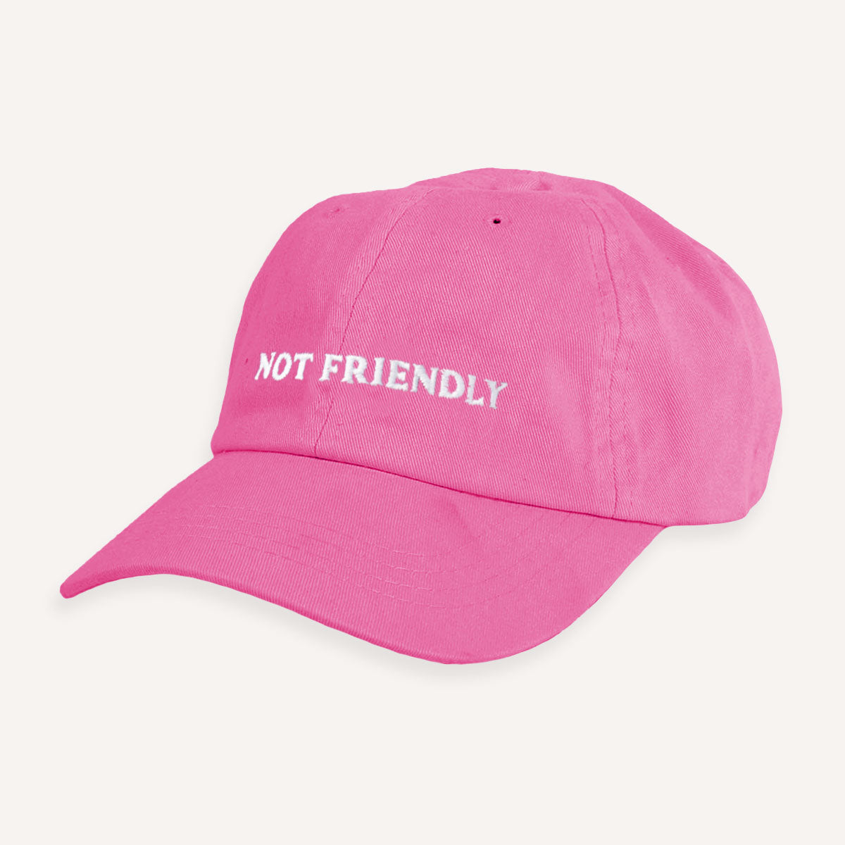 Not Friendly Slogan Cap