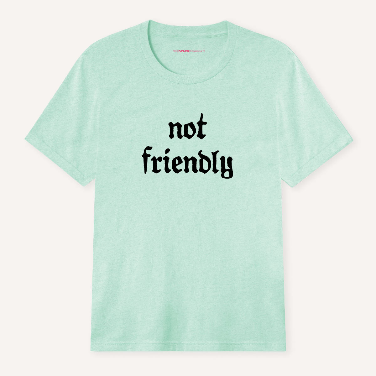 Not Friendly T-Shirt