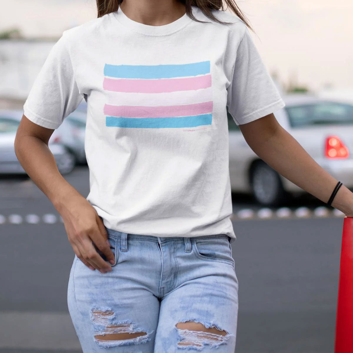 Trans Pride Flag T-Shirt