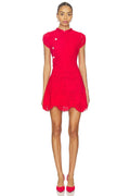 Fine Lace Mini Dress