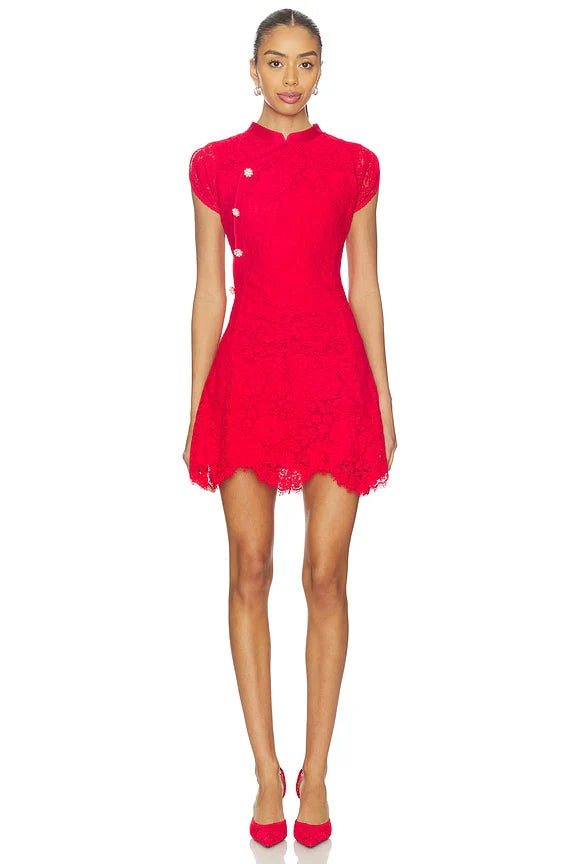 Fine Lace Mini Dress