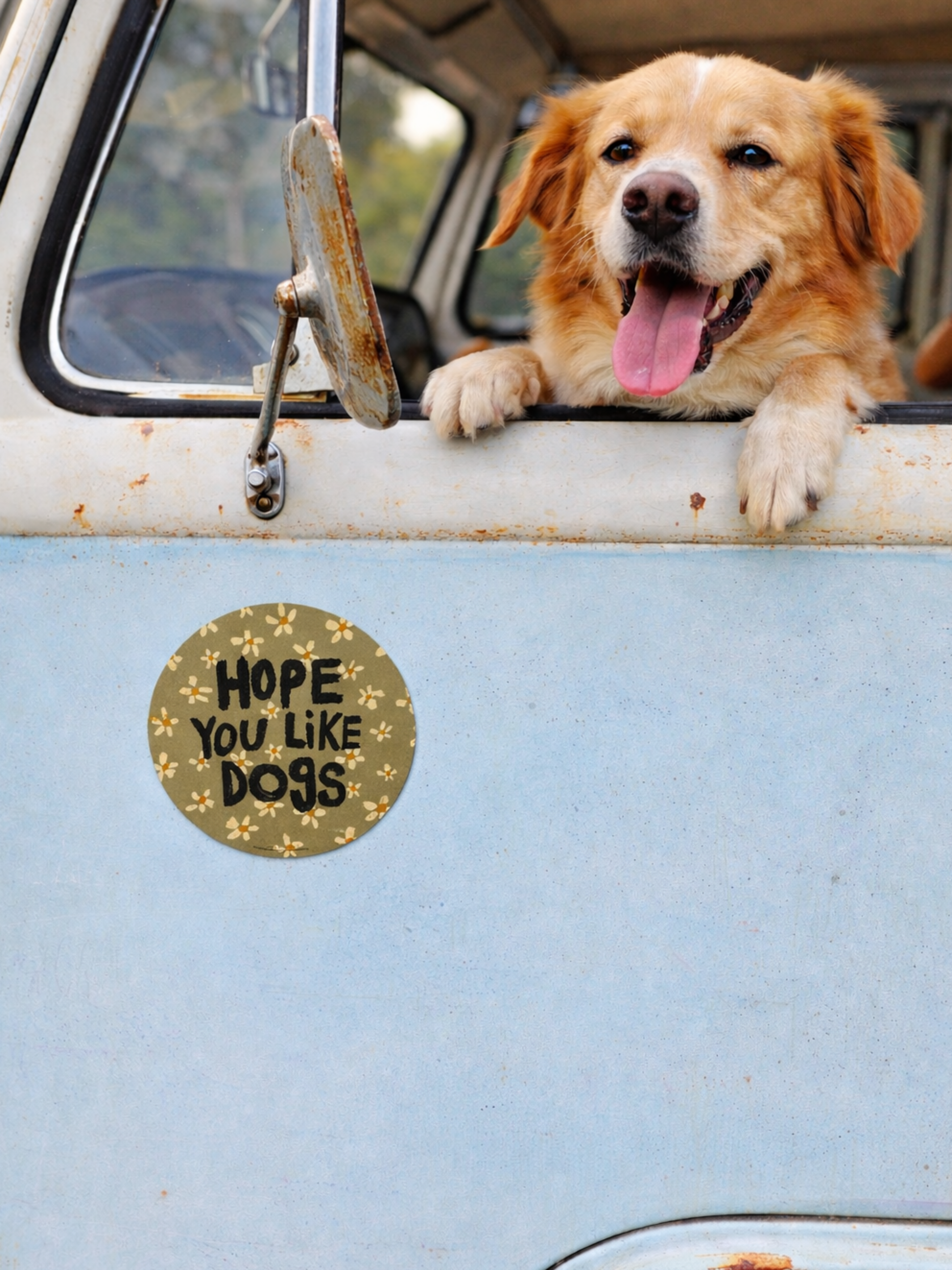 Car Magnet - Hope You Like Dogs