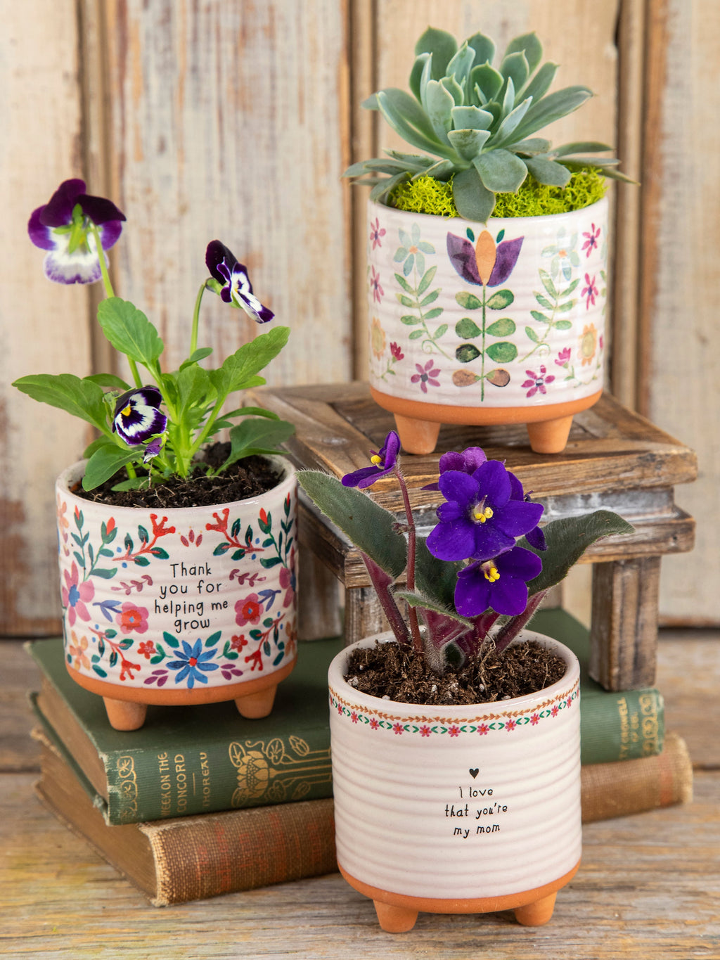 Mini Artisan Planter - Thank You